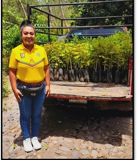 Se recogen árboles maderables en el vivero CONAFOR