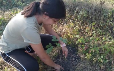 REFORESTACIÓN DE ÁREAS VERDES DE LA LOCALIDAD