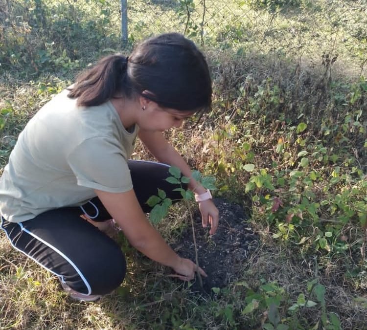 REFORESTACIÓN DE ÁREAS VERDES DE LA LOCALIDAD